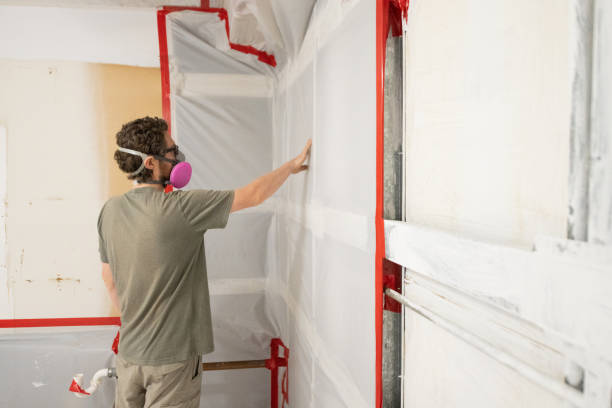 Best Emergency Mold Remediation  in Clinton, IA