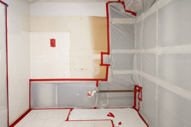 Best Basement Mold Removal  in Clinton, IA