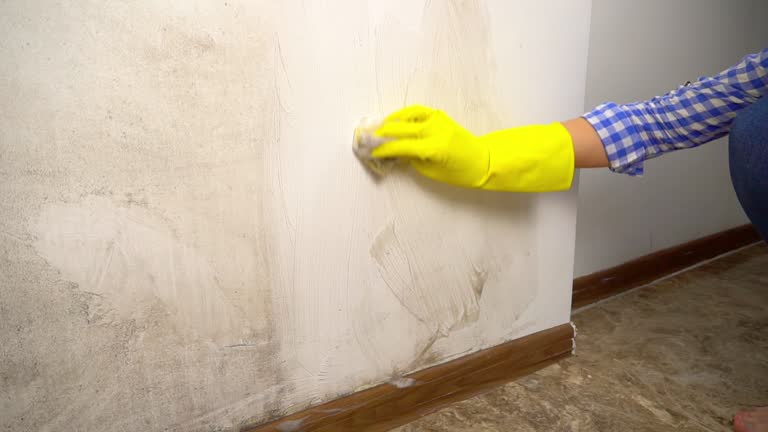 Best Post-Construction Mold Inspection  in Clinton, IA