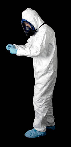 Best Attic Mold Removal  in Clinton, IA