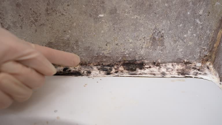 Best HVAC Mold Inspection and Cleaning  in Clinton, IA